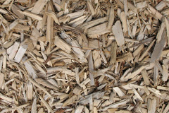 biomass boilers Palnackie